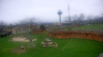 Weather camera view of Columbus Zoo and Aquarium.