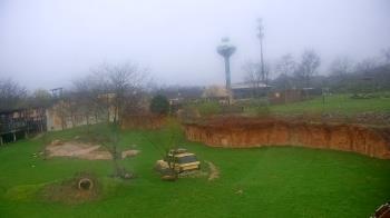 Weather camera view of Columbus Zoo and Aquarium.