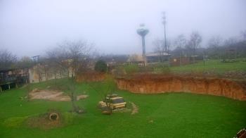 Weather camera view of Columbus Zoo and Aquarium.