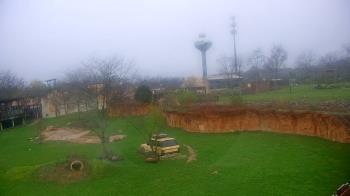 Weather camera view of Columbus Zoo and Aquarium.