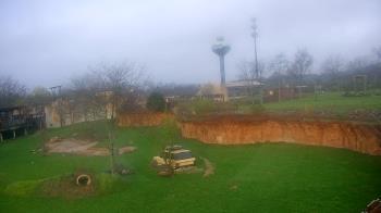 Weather camera view of Columbus Zoo and Aquarium.