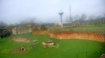 Weather camera view of Columbus Zoo and Aquarium.