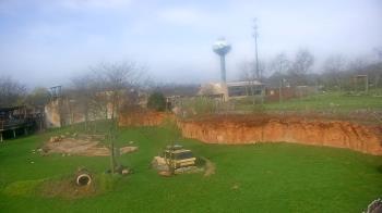 Weather camera view of Columbus Zoo and Aquarium.