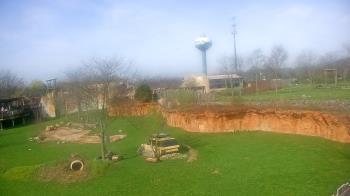 Weather camera view of Columbus Zoo and Aquarium.