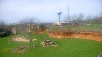 Weather camera view of Columbus Zoo and Aquarium.