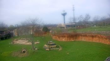 Weather camera view of Columbus Zoo and Aquarium.
