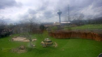 Weather camera view of Columbus Zoo and Aquarium.