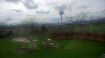 Weather camera view of Columbus Zoo and Aquarium.