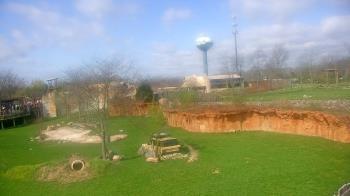 Weather camera view of Columbus Zoo and Aquarium.