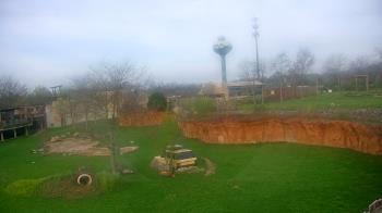 Weather camera view of Columbus Zoo and Aquarium.