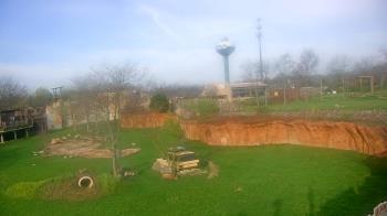 Weather camera view of Columbus Zoo and Aquarium.