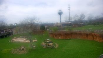 Weather camera view of Columbus Zoo and Aquarium.