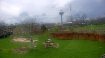 Weather camera view of Columbus Zoo and Aquarium.