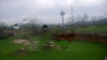 Weather camera view of Columbus Zoo and Aquarium.