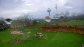 Weather camera view of Columbus Zoo and Aquarium.