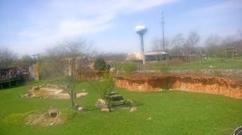 Weather camera view of Columbus Zoo and Aquarium.