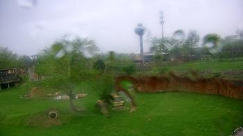 Weather camera view of Columbus Zoo and Aquarium.