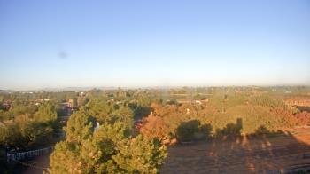 Weather camera view of Schnepf Farms.