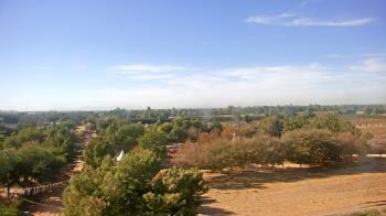 Weather camera view of Schnepf Farms.