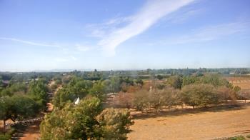 Weather camera view of Schnepf Farms.