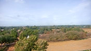 Weather camera view of Schnepf Farms.