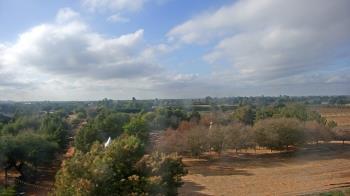 Weather camera view of Schnepf Farms.