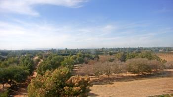 Weather camera view of Schnepf Farms.