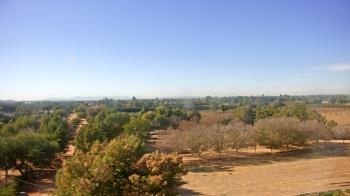 Weather camera view of Schnepf Farms.