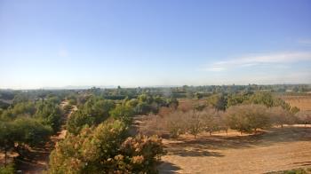 Weather camera view of Schnepf Farms.
