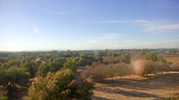 Weather camera view of Schnepf Farms.