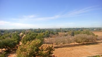 Weather camera view of Schnepf Farms.