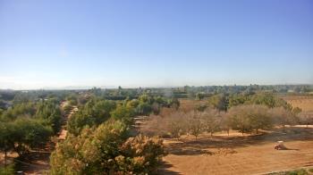 Weather camera view of Schnepf Farms.