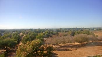 Weather camera view of Schnepf Farms.