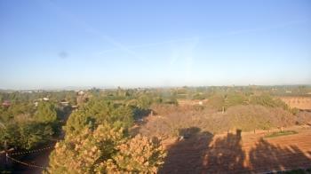 Weather camera view of Schnepf Farms.