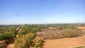 Weather camera view of Schnepf Farms.