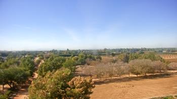 Weather camera view of Schnepf Farms.