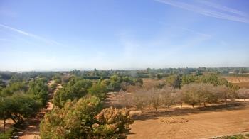Weather camera view of Schnepf Farms.