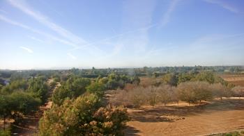 Weather camera view of Schnepf Farms.