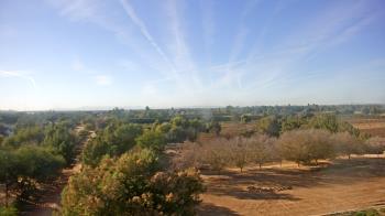 Weather camera view of Schnepf Farms.