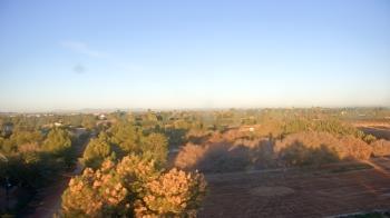 Weather camera view of Schnepf Farms.