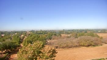 Weather camera view of Schnepf Farms.