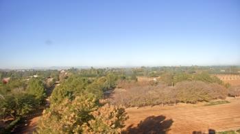 Weather camera view of Schnepf Farms.