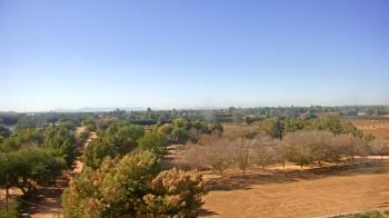 Weather camera view of Schnepf Farms.