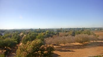 Weather camera view of Schnepf Farms.