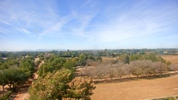 Weather camera view of Schnepf Farms.