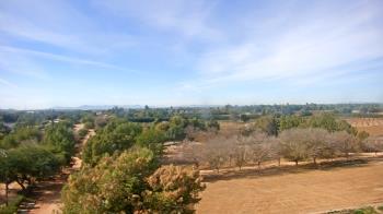 Weather camera view of Schnepf Farms.