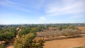 Weather camera view of Schnepf Farms.