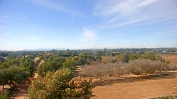 Weather camera view of Schnepf Farms.