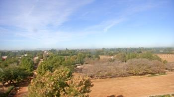 Weather camera view of Schnepf Farms.