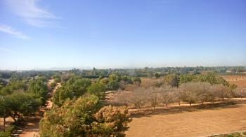 Weather camera view of Schnepf Farms.